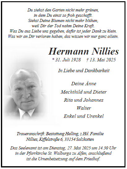 Nillies Hermann Internet
