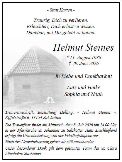 Steines Helmut Internet