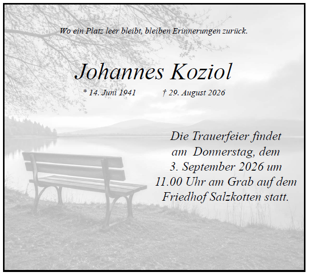 Koziol Johannes Internet